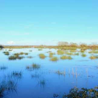 031111 L'estuaire de la Loire et les enjeux à l'heure des changements climatiques (module 1)_inscription