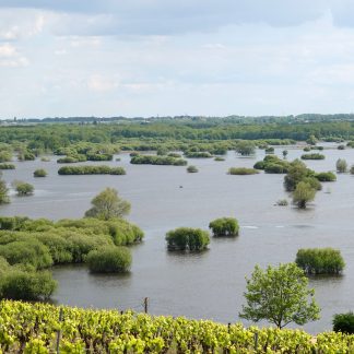 031113 L'estuaire de la Loire et les enjeux à l'heure des changements climatiques (module 3)_inscription